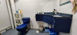 Blk 228C Compassvale Walk (Sengkang), HDB 5 Rooms #566178191